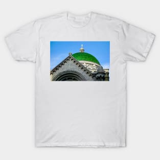 Cathedral Basilica of Saint Louis Study 9 T-Shirt